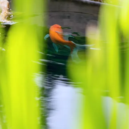 De La Contis-les-Bains
