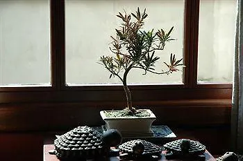 De La Hotel Contis-les-Bains