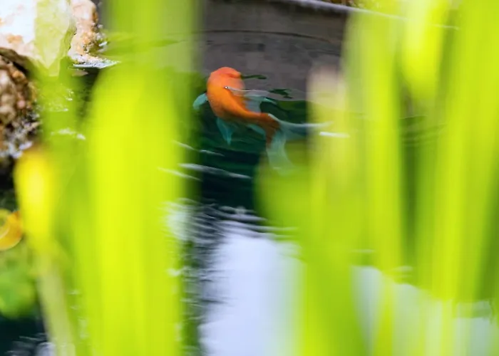 De La Contis-les-Bains